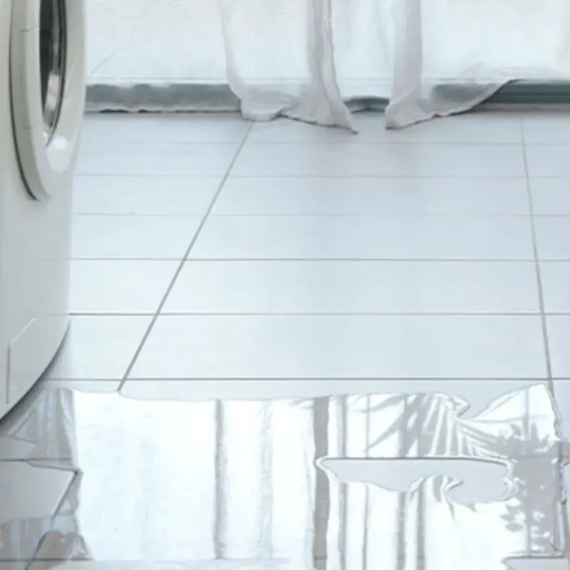 Appliance Leak Cleanup in Crescent City, CA