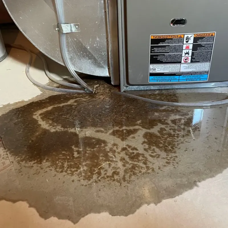 Pipe Burst and Leak Restoration in Crescent City, CA