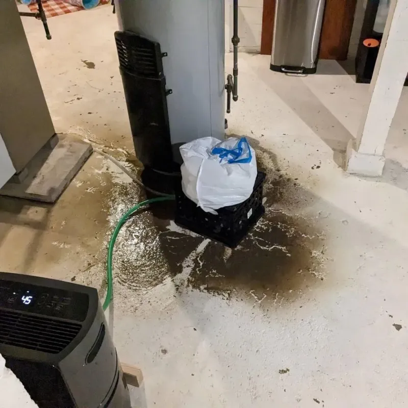 Sewage Backup Cleanup Service in Crescent City, CA